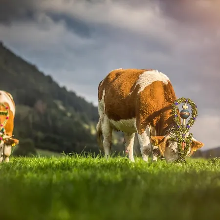 Der Anderlbauer Am ファームステイ *