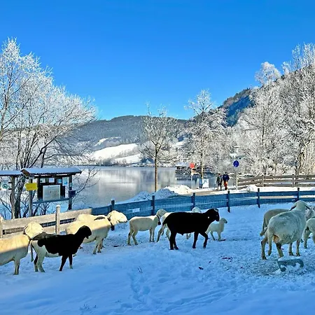 Der Anderlbauer Am *