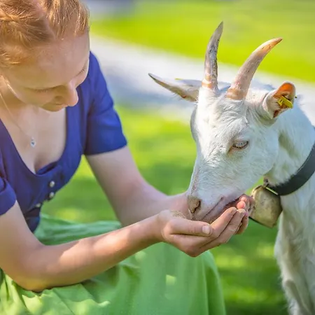 Der Anderlbauer Am Farm stay