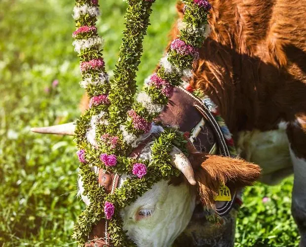Der Anderlbauer Am בית חווה *